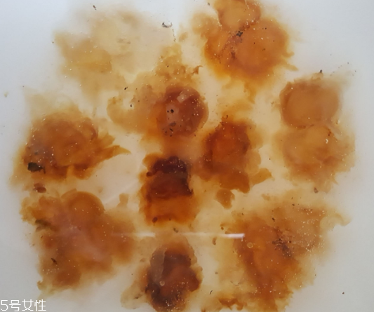 桃膠能生吃嗎？生吃桃膠可以嗎？