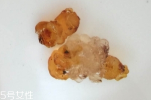 桃膠可以用開水泡嗎？用開水泡桃膠好嗎？
