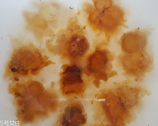 桃膠可以用開水泡嗎？用開水泡桃膠好嗎？