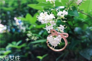 戒指掉進下水道怎么辦？戒指掉下水道了怎么撿