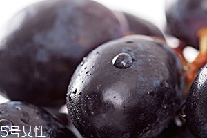 黑提是葡萄嗎？黑提和葡萄的區(qū)別