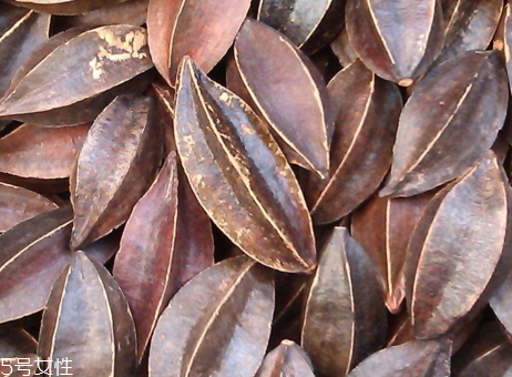 使君子怎么吃 使君子的食用禁忌 使君子怎么吃 使君子的食用禁忌