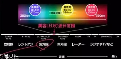 belulu大排燈怎么樣？belulu大排燈和exideal大排燈哪個好