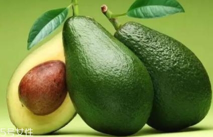 酪梨是什么？酪梨的功效與作用