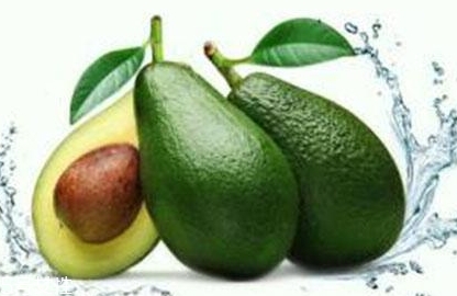 酪梨是什么？酪梨的功效與作用