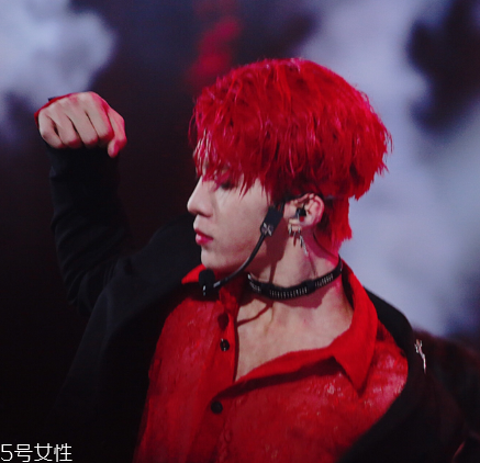 lost general哪里有賣？lost general在哪買？