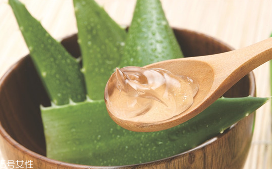 蘆薈膠怎么用效果更好 蘆薈膠的最佳用法 蘆薈膠怎么用效果更好 蘆薈膠的最佳用法