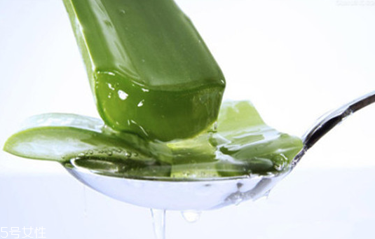 蘆薈膠怎么用效果更好 蘆薈膠的最佳用法 蘆薈膠怎么用效果更好 蘆薈膠的最佳用法