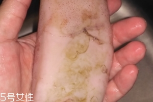 魷魚是海鮮嗎？魷魚屬于海鮮嗎？