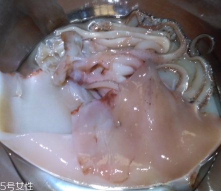 魷魚是海鮮嗎？魷魚屬于海鮮嗎？