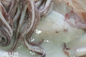 魷魚是烏賊嗎？魷魚跟烏賊是一種嗎？