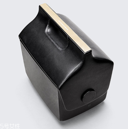 alexander wang與夢(mèng)龍合作款包包多少錢_在哪買？