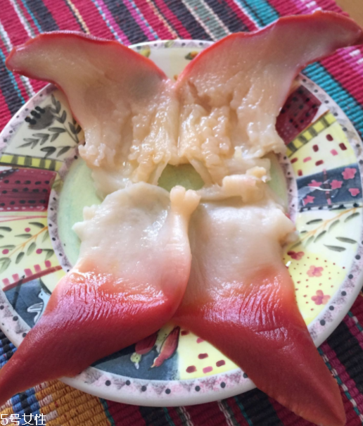 北極貝是海鮮嗎？北極貝介紹