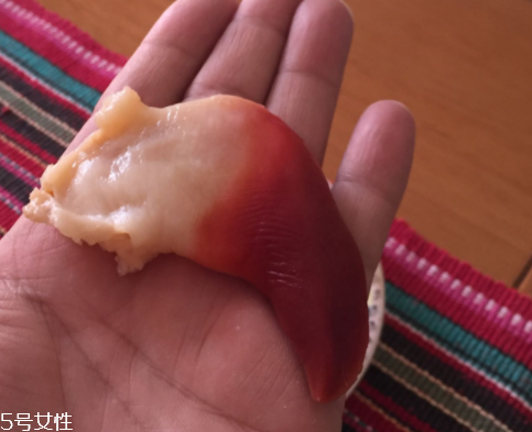 北極貝是海鮮嗎？北極貝介紹