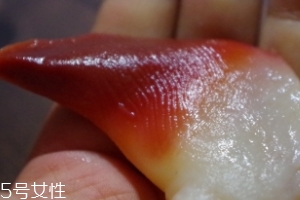 北極貝能不能煮？煮北極貝可以嗎？