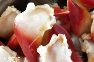 北極貝可以涮火鍋嗎？北極貝可以下火鍋吃嗎？