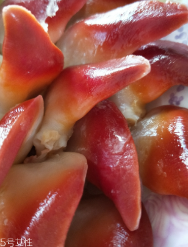 北極貝可以涮火鍋嗎？北極貝可以下火鍋吃嗎？