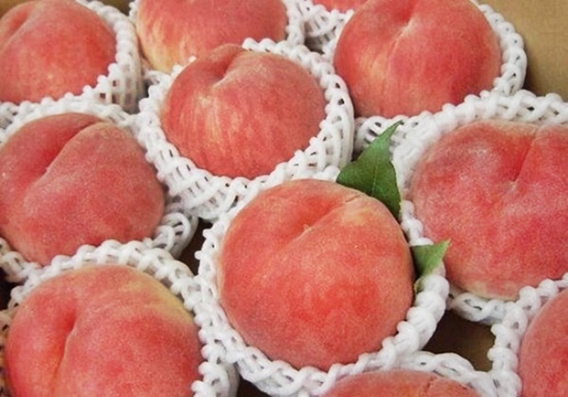 水蜜桃怎么挑選 水蜜桃挑選技巧 水蜜桃怎么挑選 水蜜桃挑選技巧