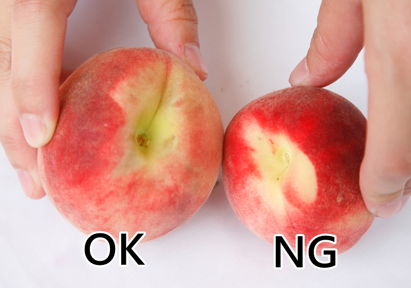 水蜜桃怎么挑選 水蜜桃挑選技巧 水蜜桃怎么挑選 水蜜桃挑選技巧