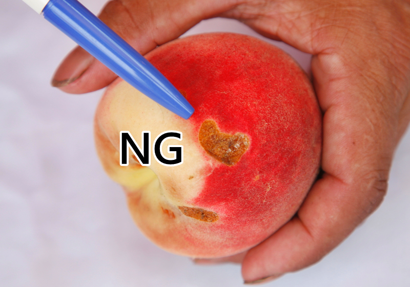 水蜜桃怎么挑選 水蜜桃挑選技巧 水蜜桃怎么挑選 水蜜桃挑選技巧