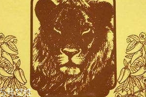 德國辣椒膏藥怎么樣？德國辣椒膏藥使用方法