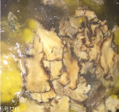 烏骨雞是烏雞嗎？烏骨雞是什么雞？