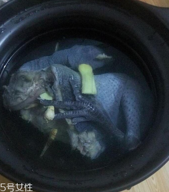 烏骨雞是烏雞嗎？烏骨雞是什么雞？