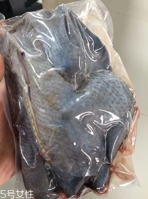 烏雞下奶嗎？烏雞怎么吃下奶？