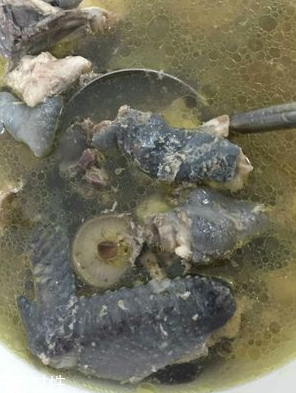 烏雞是發(fā)物嗎？烏雞屬于發(fā)物嗎？