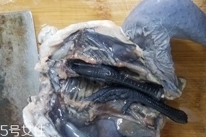 烏雞是公雞好還是母雞好？烏雞買公雞還是母雞？