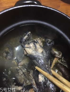 烏雞是公雞好還是母雞好？烏雞買公雞還是母雞？