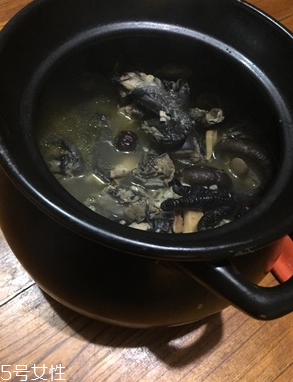 烏雞是公雞好還是母雞好？烏雞買公雞還是母雞？