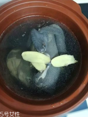 烏雞是熱性還是涼性？烏雞偏熱還是偏涼？