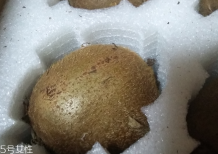 綠心獼猴桃硬的能吃嗎？硬的綠心獼猴桃能吃嗎？