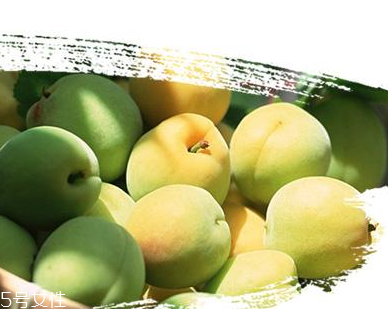 青梅丸的功效與作用 青梅丸能治什么病？