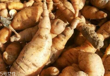 生地什么時候采收 生地的采收時間 生地什么時候采收 生地的采收時間