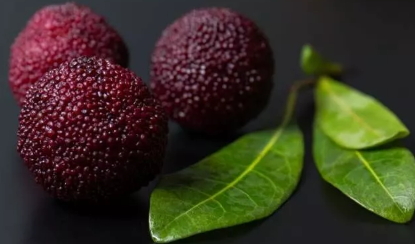 烏酥楊梅什么時候成熟？烏酥楊梅的產(chǎn)地