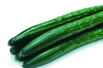 地黃瓜與黃瓜的區(qū)別 地黃瓜和黃瓜哪個(gè)好吃 地黃瓜與黃瓜的區(qū)別 地黃瓜和黃瓜哪個(gè)好吃