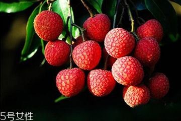 荔枝殼的功效和作用 荔枝殼去火嗎？