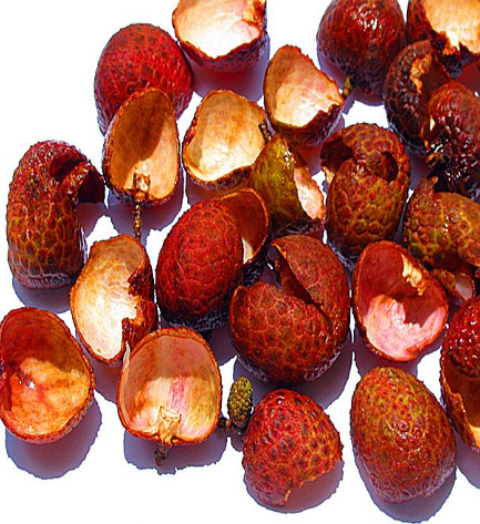 荔枝殼的功效和作用 荔枝殼去火嗎？