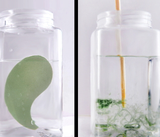 悅蕾眼膜多少錢一盒？悅蕾眼膜一盒多少片