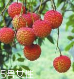 荔枝能和粽子一起吃嗎？荔枝能不能和粽子一起吃