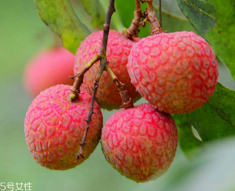 荔枝是涼性還是熱性？月經(jīng)來了能吃荔枝嗎