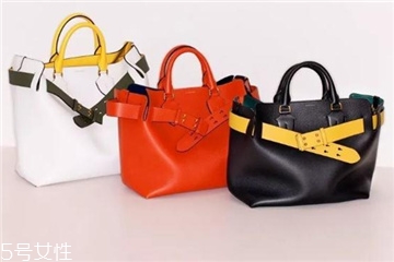 burberry the belt bag多少錢？巴寶莉貝爾特包專柜價(jià)格