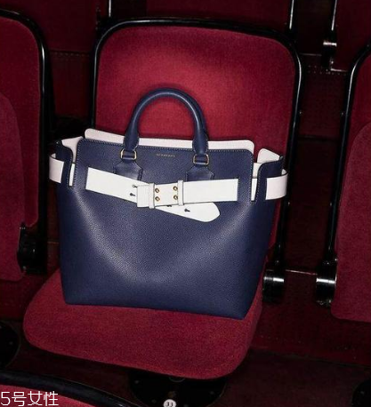 burberry the belt是什么皮？巴寶莉貝爾特包材質(zhì)