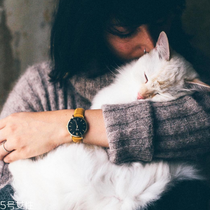 cluse手表多少錢？cluse手表正品價格