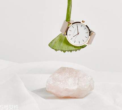 the horse手表多少錢？the horse手表價位