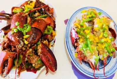 波士頓龍蝦能活多久？波士頓龍蝦能活幾天？