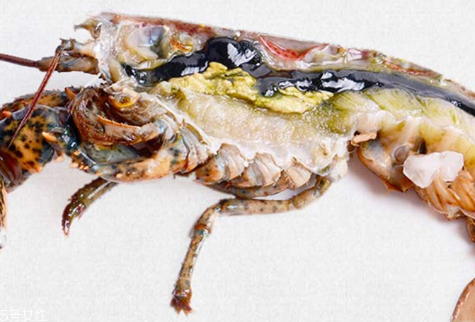波士頓龍蝦能生吃嗎？波士頓龍蝦適合生吃嗎？