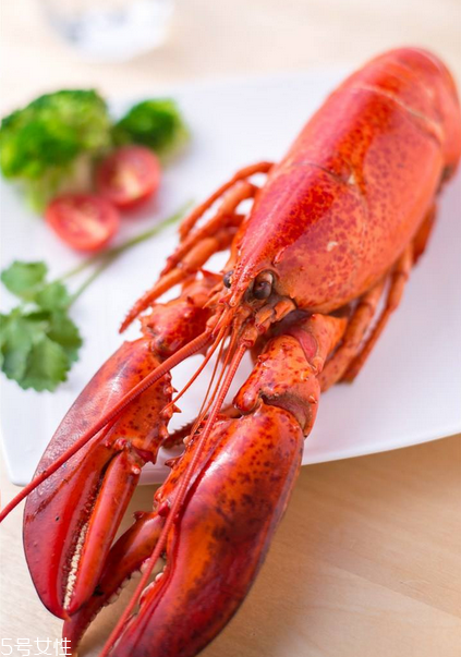 波士頓龍蝦清蒸多久？波士頓龍蝦蒸幾分鐘？